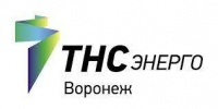 ТНС энерго Воронеж: вовремя передавая показания счетчика, можно снизить расходы на электроэнергию