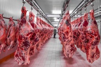 В Тамбовской области в 2022 году выросло производство мяса