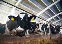 В 2022 году АПК «Русь» планирует инвестировать 450 млн рублей в строительство молочно-товарной фермы в Орловской области