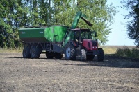В Курской и Тамбовской областях уже  собрали по четыре  миллионов тонн зерна