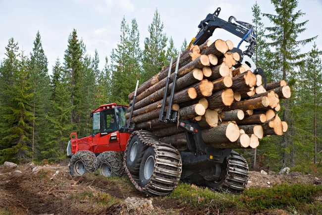 Белгородские и воронежские активисты приглашают жителей регионов на лесозаготовки для блиндажей
