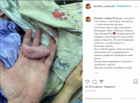 �������� ��������������� �������� ������ �������� - ��������� ���������� ������ ������� ���� ����� � ������ ���