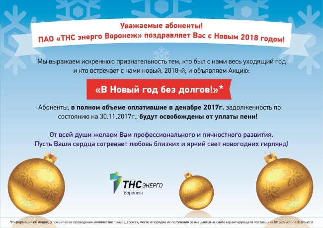 Компания ПАО "ТНС энерго Воронеж" призывает войти в Новый год - без долгов Компания ПАО "ТНС энерго Воронеж" призывает войти в Новый год - без долгов
