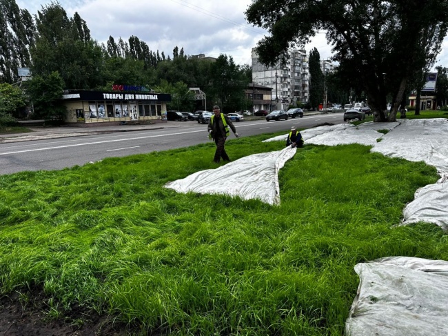 Воронежские газоны обретают новую жизнь: мэр Сергей Петрин рассказал о масштабной программе озеленения Воронежские газоны обретают новую жизнь: мэр Сергей Петрин рассказал о масштабной программе озеленения