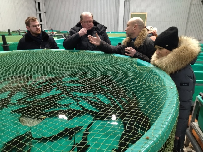 Поселок Борок Некоузского района Ярославской области готовится встречать круизных туристов Поселок Борок Некоузского района Ярославской области готовится встречать круизных туристов