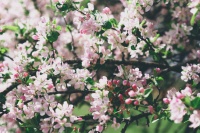 � ��������� ������� ����������� ���������� ������ �� �������� �����������