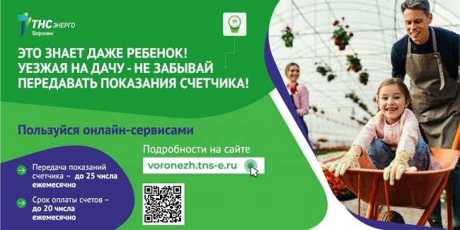 «ТНС энерго Воронеж»: уезжая на дачу, не забывайте передавать показания приборов учета «ТНС энерго Воронеж»: уезжая на дачу, не забывайте передавать показания приборов учета