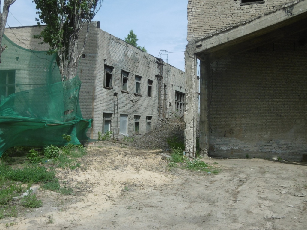 P1000389.JPG
