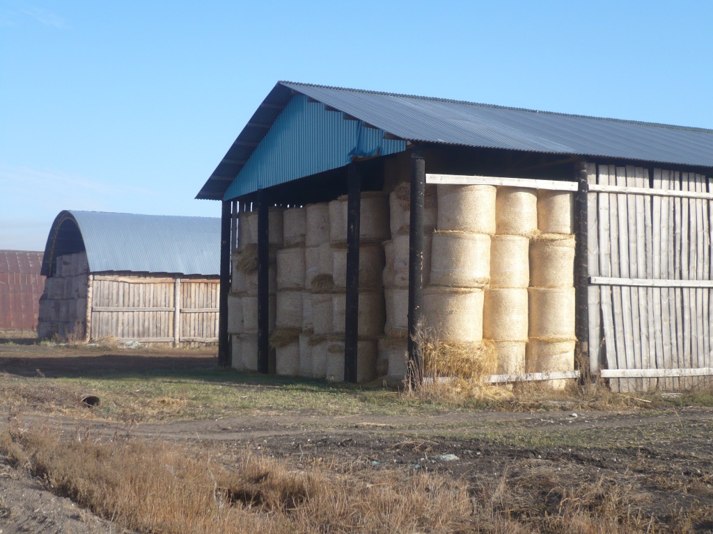 P1050733.JPG