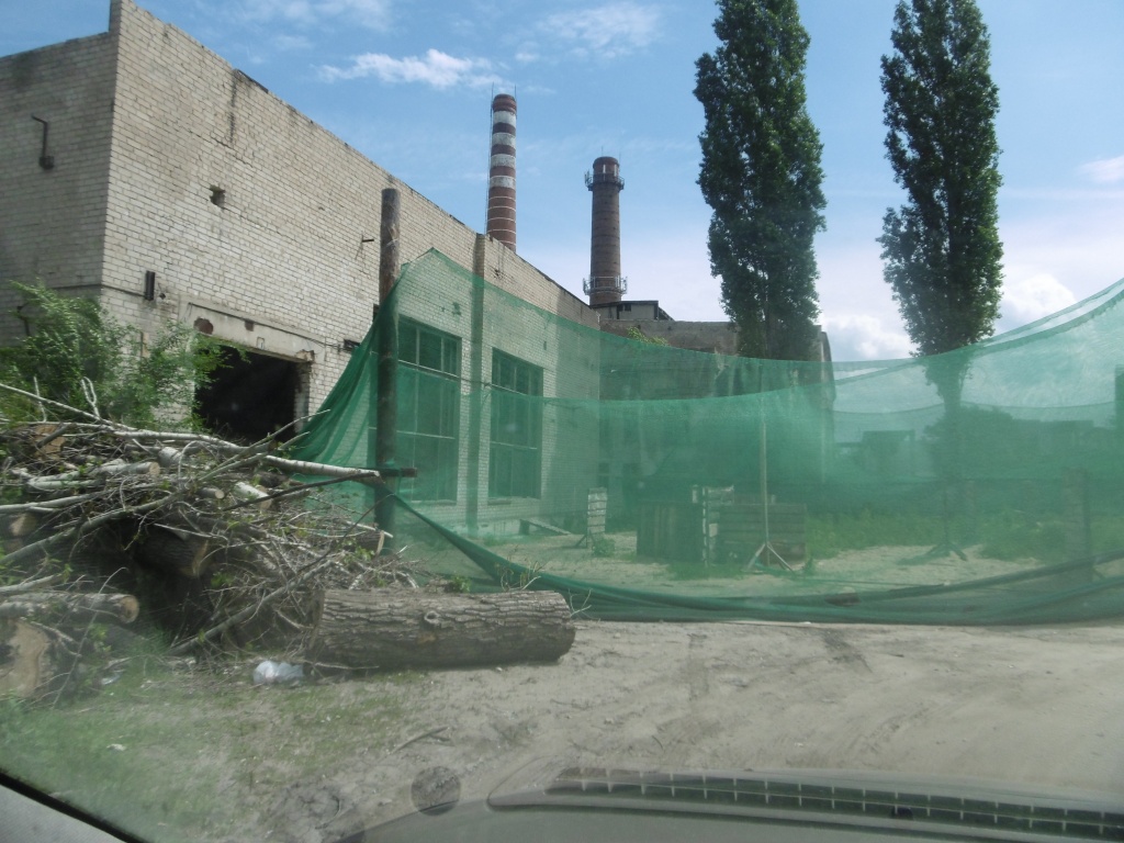 P1000386.JPG