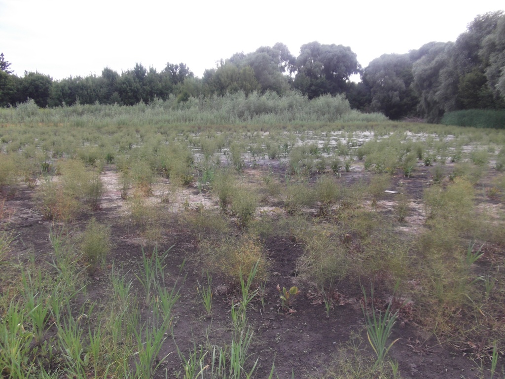 DSCF5399.JPG