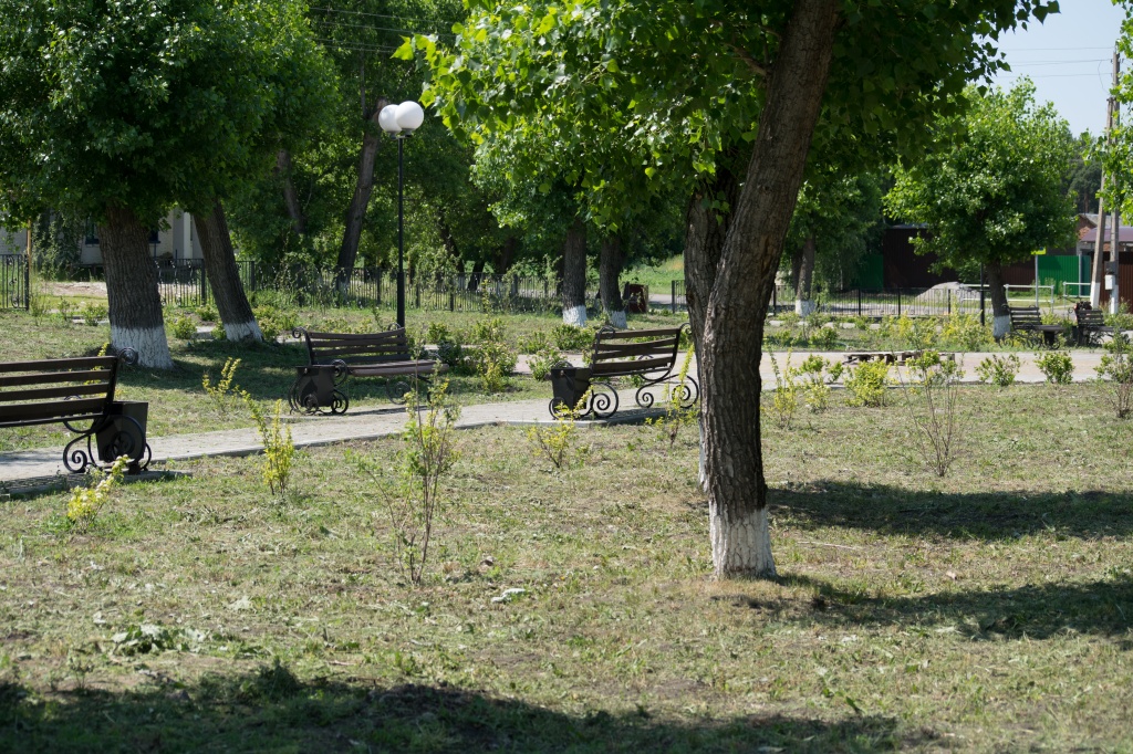 DSC_0024.JPG